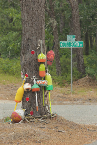 2016-Boston-086FullHD