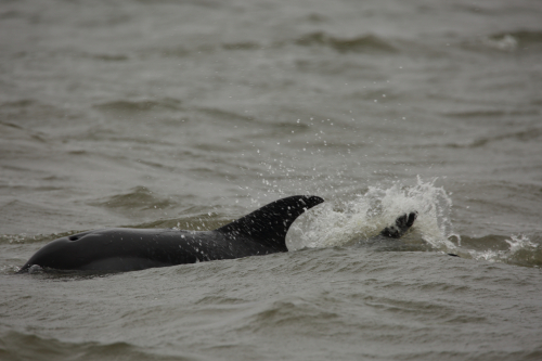 2016-Boston-096FullHD