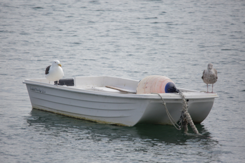 2016-Boston-186FullHD