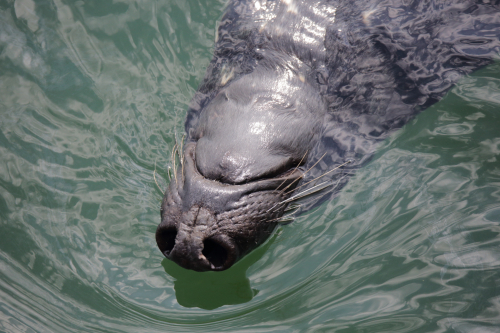 2016-Boston-192FullHD