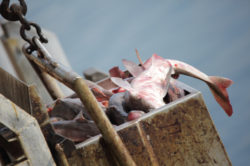 2016-Boston-202FullHD