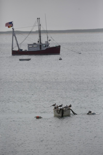 2016-Boston-203FullHD