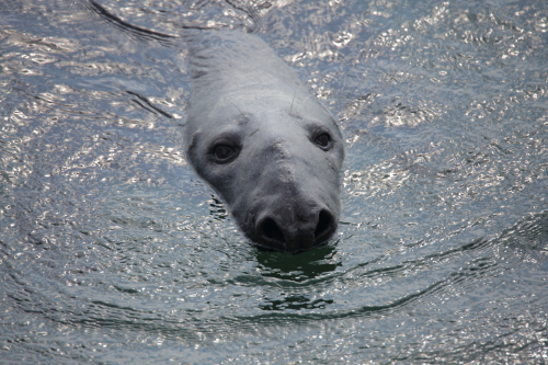 2016-Boston-208FullHD