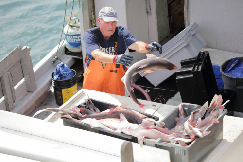 2016-Boston-212FullHD