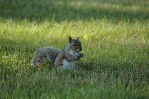 2016-Boston-273FullHD