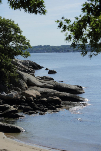 2016-Boston-306FullHD