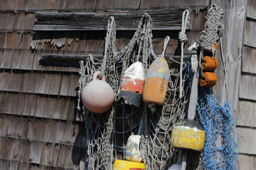 2016-Boston-339FullHD