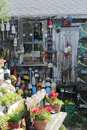 2016-Boston-341FullHD