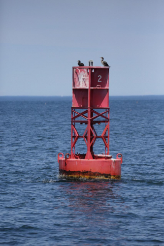 2016-Boston-409FullHD