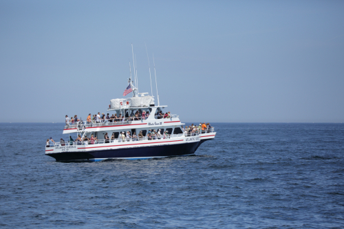 2016-Boston-412FullHD