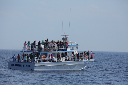 2016-Boston-482FullHD