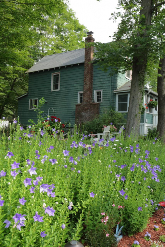 2016-Boston-551FullHD