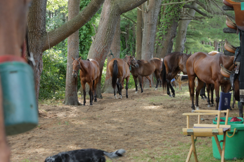 2016-Boston-560FullHD