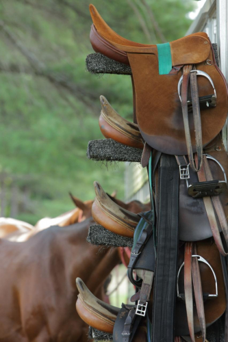 2016-Boston-571FullHD