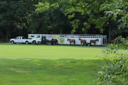 2016-Boston-572FullHD