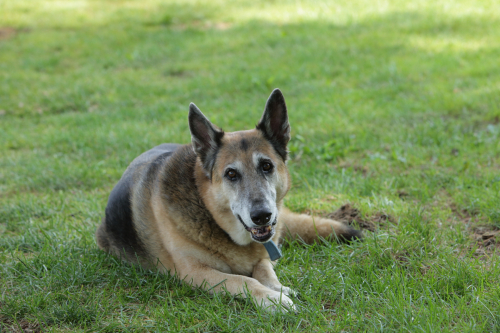 2016-Boston-583FullHD