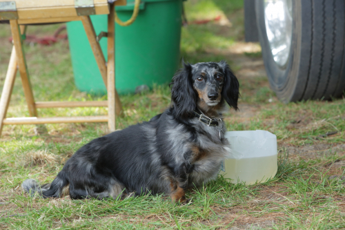 2016-Boston-602FullHD