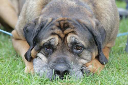 2016-Boston-612FullHD