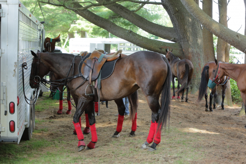 2016-Boston-620FullHD