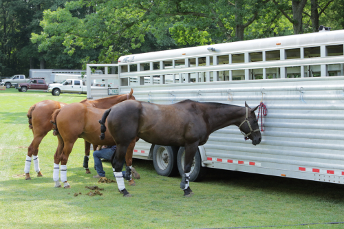 2016-Boston-622FullHD