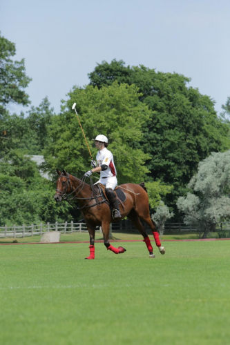 2016-Boston-630FullHD