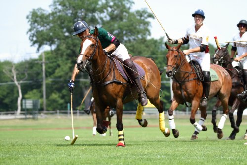 2016-Boston-733FullHD