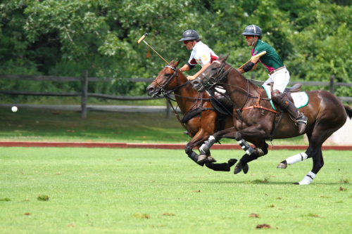 2016-Boston-775FullHD