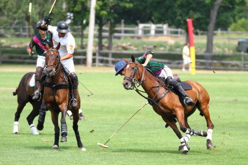 2016-Boston-801FullHD