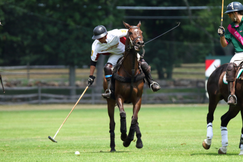 2016-Boston-894FullHD