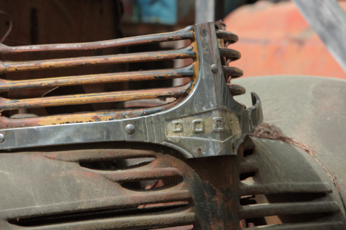 2019SouthernUSA-068FullHD