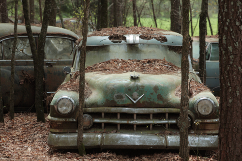 2019SouthernUSA-072FullHD