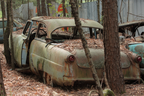 2019SouthernUSA-073FullHD