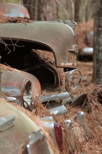 2019SouthernUSA-074FullHD