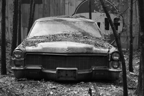 2019SouthernUSA-075FullHD