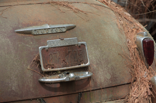 2019SouthernUSA-077FullHD