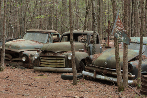 2019SouthernUSA-078FullHD