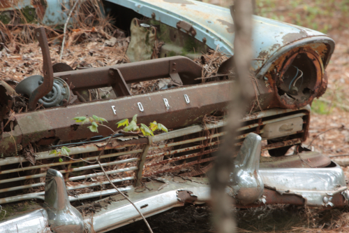 2019SouthernUSA-079FullHD