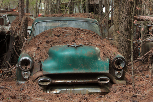 2019SouthernUSA-080FullHD