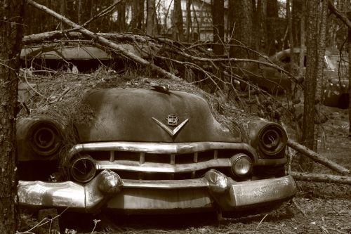 2019SouthernUSA-081FullHD