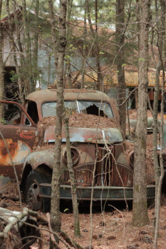 2019SouthernUSA-083FullHD