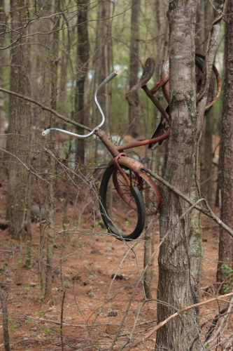 2019SouthernUSA-085FullHD