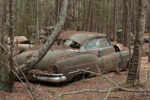 2019SouthernUSA-086FullHD