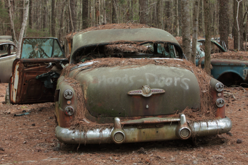 2019SouthernUSA-088FullHD