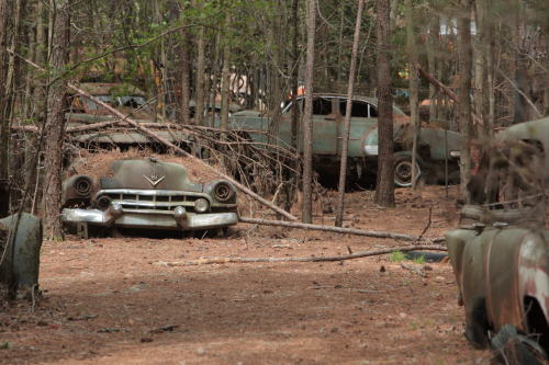 2019SouthernUSA-090FullHD