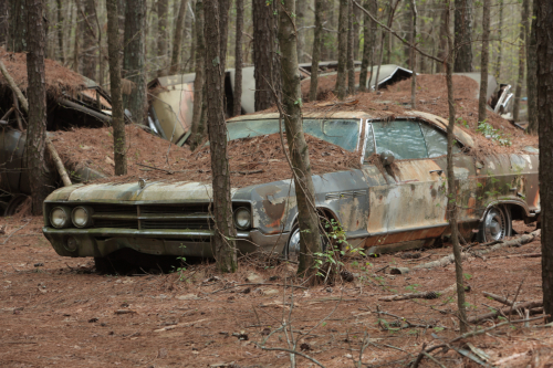 2019SouthernUSA-092FullHD