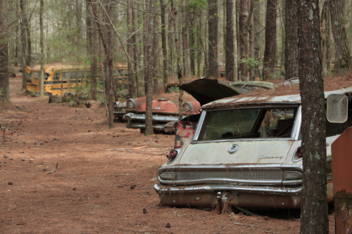 2019SouthernUSA-093FullHD