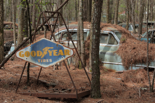 2019SouthernUSA-094FullHD