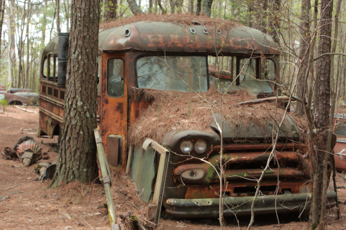 2019SouthernUSA-096FullHD