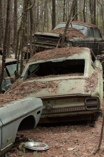 2019SouthernUSA-097FullHD