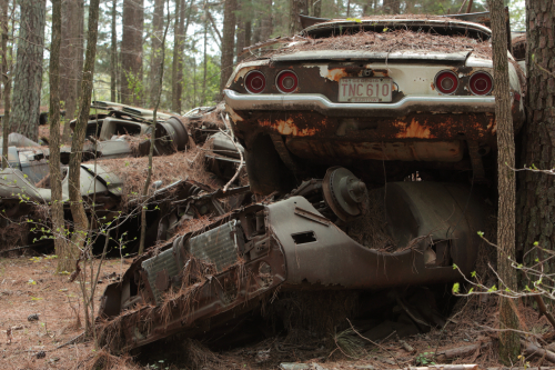 2019SouthernUSA-098FullHD